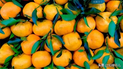 ​你在此地不要动，我去给你买橘子是什么梗？附破解之法