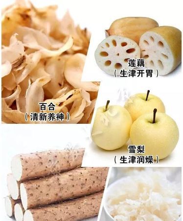 白露节气吃什么食物养生