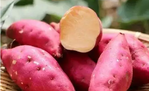 白露的风俗食物,白露节气吃什么食物养生图7