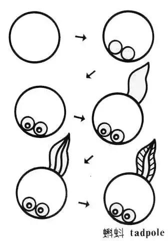 100种简笔画简单又可爱（45个可爱简笔画教程）(14)