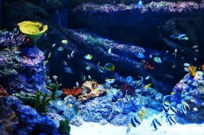 ​毕棚沟自驾游注意事项：时间、季节、住宿、美食攻略