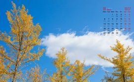 秋天是几月到几月 几月是秋天呢