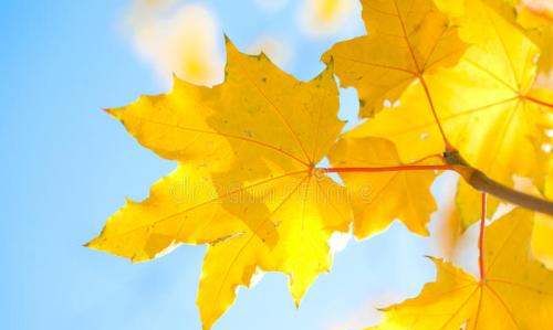 秋天是几月到几月,秋天是哪几个月图2