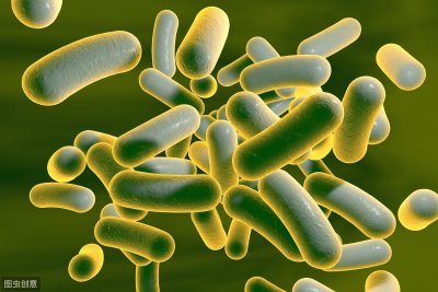 ​胃肠炎的症状及治疗（一定要注意这5点饮食建议）