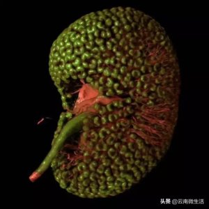 ​贞操是什么意思，是谁把女性的贞操放阴道里的