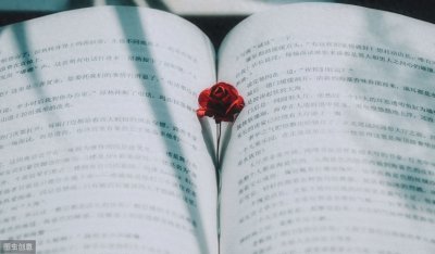 ​《他说爱情已迟暮》里的那些虐心短句