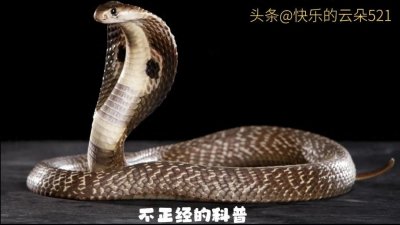 ​酒店偷拍：警惕隐私泄露