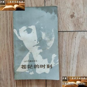 ​《苍茫的时刻》有人在世界得到生命，却不曾遇到可心人就结束一生