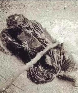 ​陕西第一悍匪:龙治民