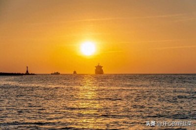 ​祖籍福建诏安县太平镇白叶村的陈水扁