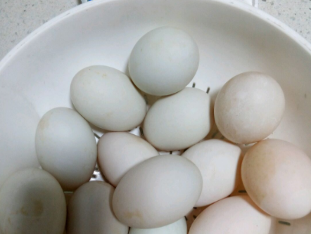 七天快速腌鸭蛋出油,快速腌鸭蛋出油最好的方法视频图3