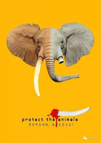 保护动物的公益广告宣传语(保护动物的公益广告词20字)-第1张图片-