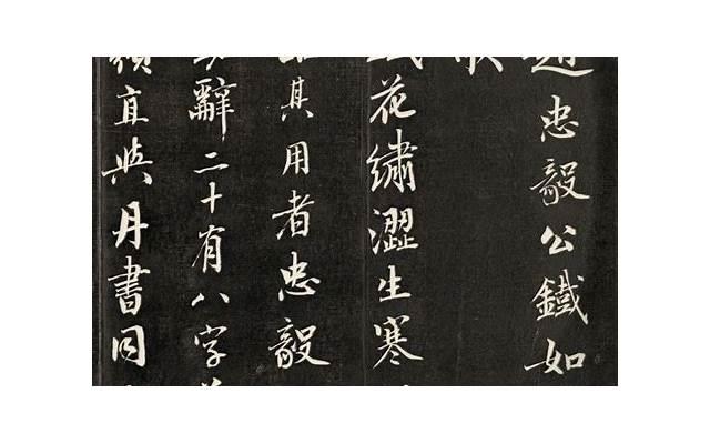 对双十一的评价文章