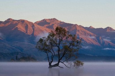 ​一个残酷的社会现象：当代社会，就是一个不折不扣的“拼爹”时代