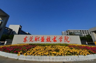 ​春考中分段考生的务实之选：东莞职业技术学院，隐形优势不输本科