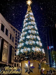 ​“圣诞节”是怎么来的呢？