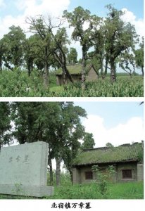 ​「乡村记忆」济宁市>邹城市 北宿镇