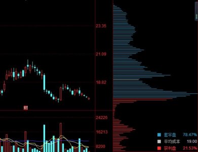 ​什么是股票筹码