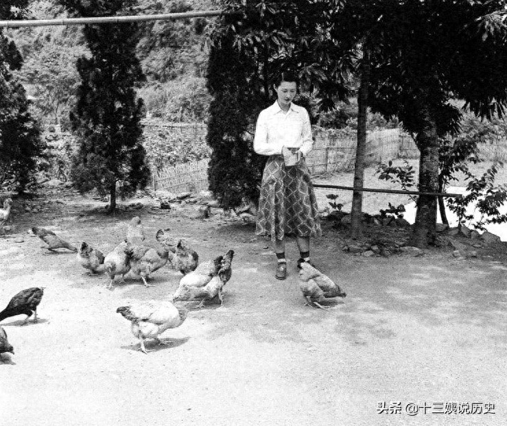 赵一荻私房照：陪伴张学良达72年，晚年有个遗憾，图7是两人儿子