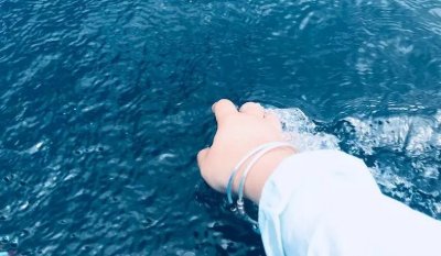 ​“水性杨花”的泸沽湖到底有多美？花已开，你什么时候来