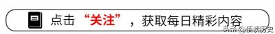 ​上午被免职下午被带走？连登24年春晚的黄宏，为何落得如此下场？