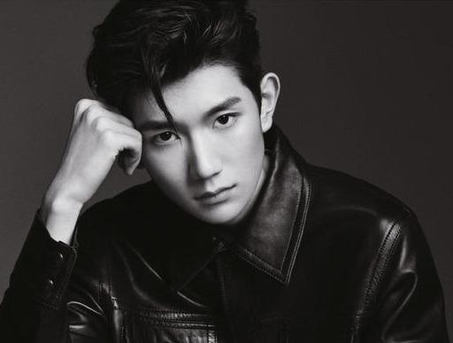 王源所有杂志封面（王源杂志封面别出心裁）(2)