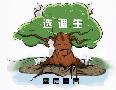 ​选调生都要去基层挂职吗？会不会影响生活？期满以后怎么办呢？