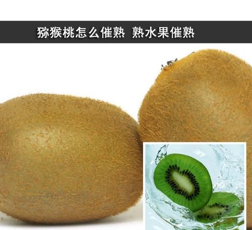 红心猕猴桃是硬的吃还是软的吃