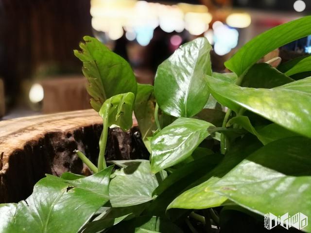 荣耀v9用得怎么样(荣耀V9上手评讲个)(11)