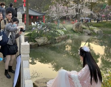 ​樱花女神之三 | 女博士在樱花园里创作漫画治愈网友