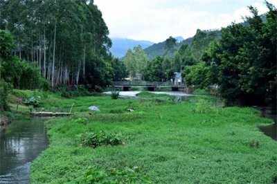 ​八月十八，农谚中的隐藏智慧你知道吗？