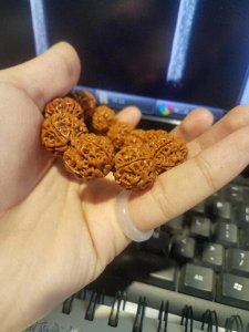 ​聊聊金刚菩提的那些事~