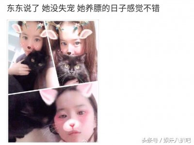 ​刘亦菲抱黑煤球自拍像素太渣遭网友吐槽:女神第一次p图就这么丑