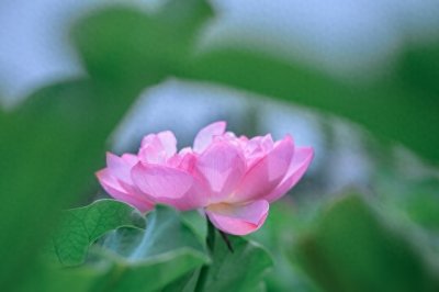 ​适合中老年人用的微信名，真好听，快拿去用吧！