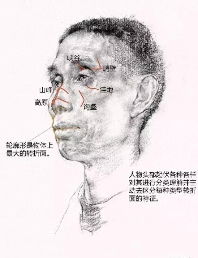 素描头像之线性素描，基础知识，及观察方法总结