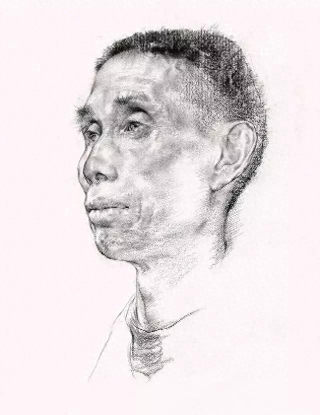 素描头像之线性素描，基础知识，及观察方法总结