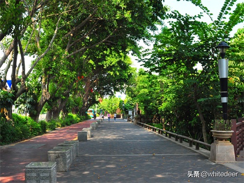 随拍公园 - 环湖游走 深圳立新湖公园