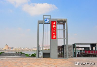 ​随拍公园 - 环湖游走 深圳立新湖公园