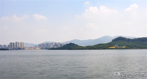 随拍公园 - 环湖游走 深圳立新湖公园