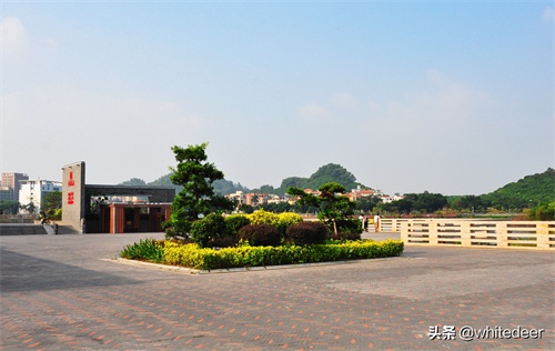 随拍公园 - 环湖游走 深圳立新湖公园