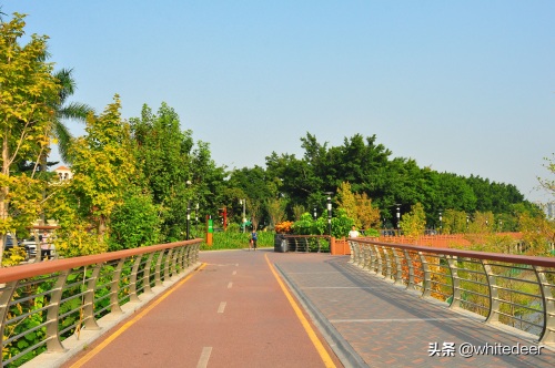 随拍公园 - 环湖游走 深圳立新湖公园