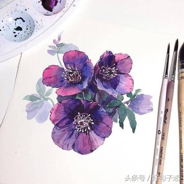 亦舒简介经典语录（最近很火的亦舒经典语录，句句精辟，你看过几句？）