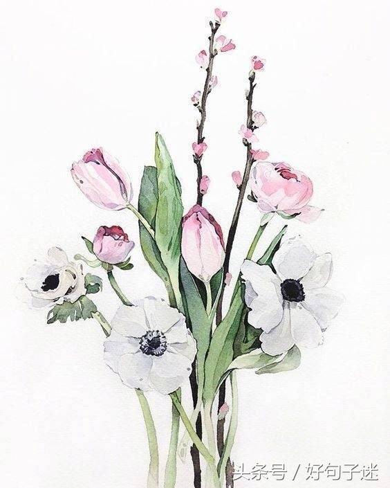 亦舒简介经典语录（最近很火的亦舒经典语录，句句精辟，你看过几句？）