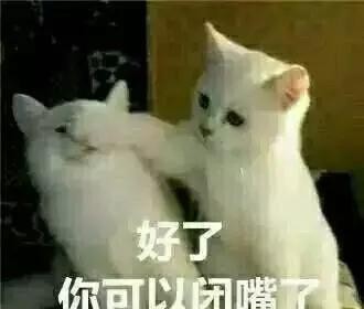 薛之谦人设崩塌来龙去脉(薛之谦还能翻身吗)