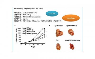 ​避孕药是怎样阻断精子和卵子结合 身体会有哪些变化