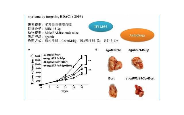 避孕药是怎样阻断精子和卵子结合 身体会有哪些变化