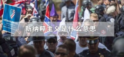 ​新纳粹主义是什么意思
