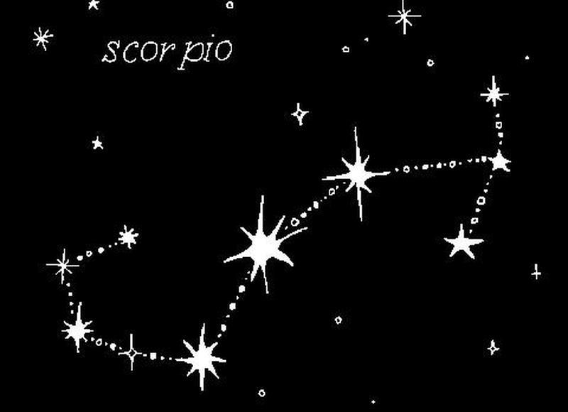  爆火的精致露营，是真趋势，还是伪精致？