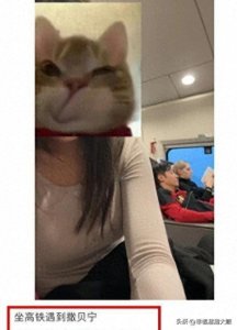 ​撒贝宁夫妇出席婚礼，被曝包红包18万元，太原婚宴菜品引发争议！