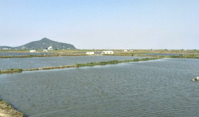 ​池塘为什么要改底？池塘改底的好处？大多数人都不知道！